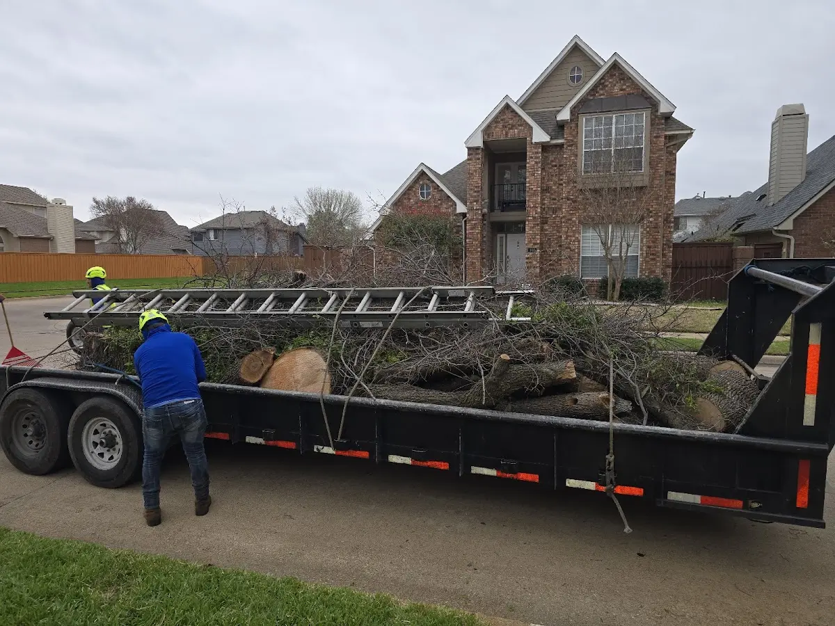 Expert Tree Removal with proper safety equipment in South Gardiner